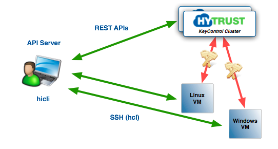 API Overview