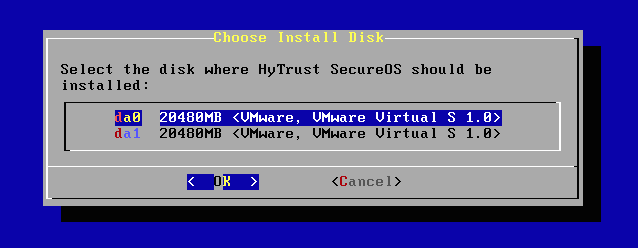 Install Choose Disks