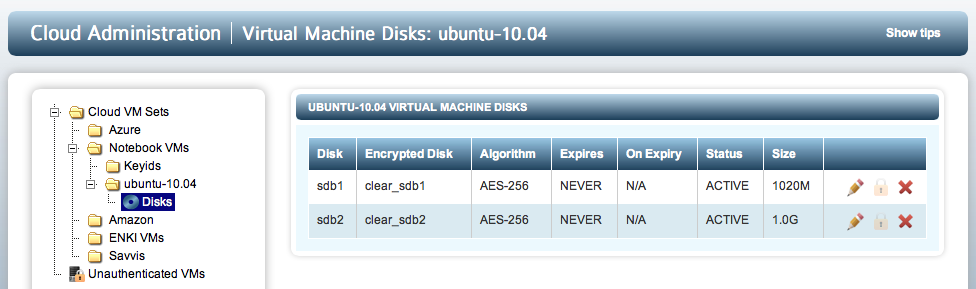 VM Disks