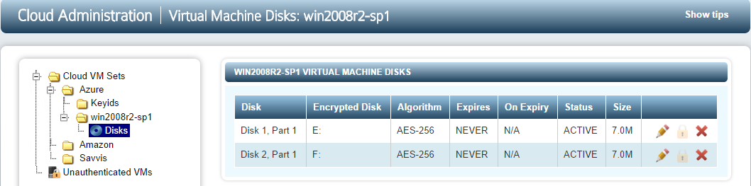 VM Windows Encrypted Drives Gui View