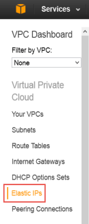 Elastic IPs