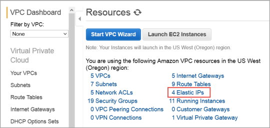 Click Elastic IPs