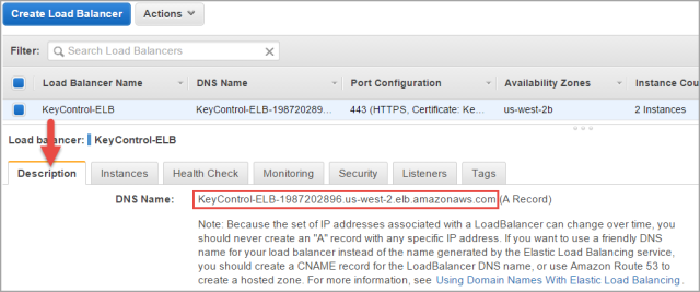Copy DNS name