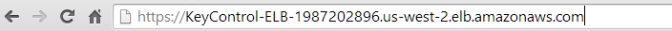 Browser entry