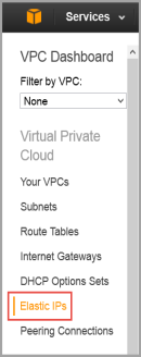 Elastic IPs