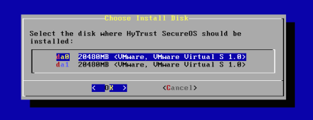 Install Choose Disks