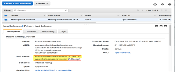 Copy DNS name